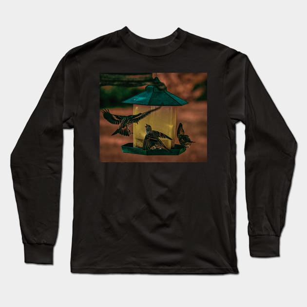 Birds at the feeder illustration Long Sleeve T-Shirt by CanadianWild418